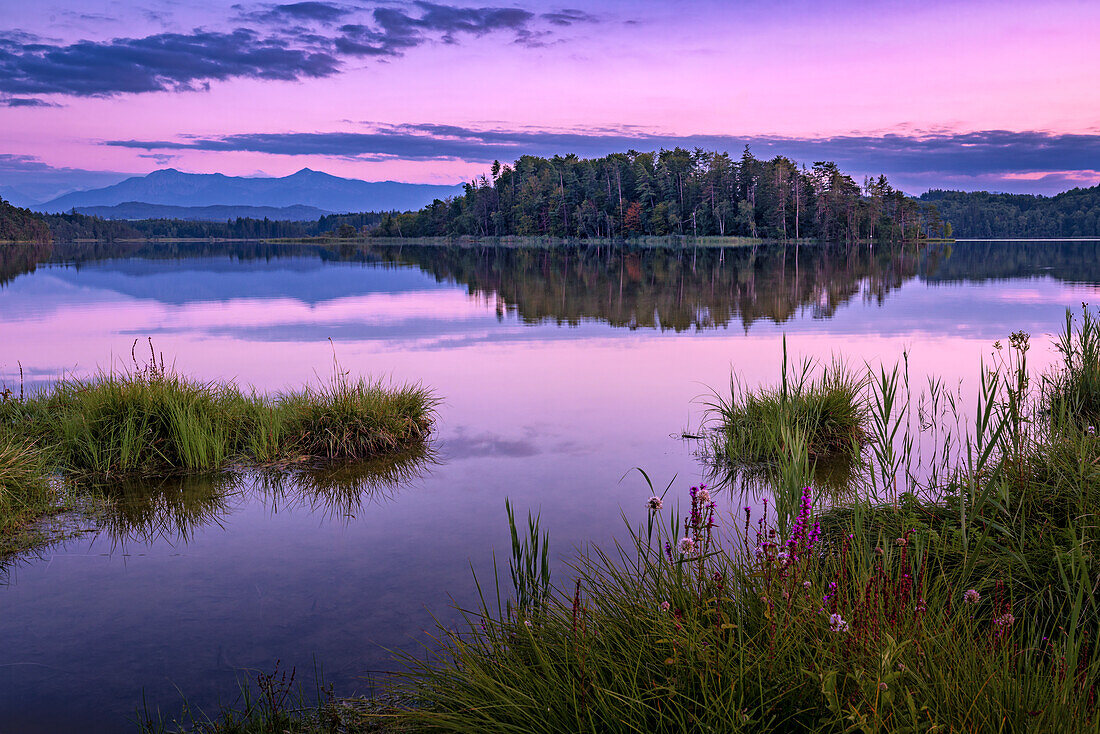  Evening mood at the large Ostersee, Bavaria, Germany, Europe 