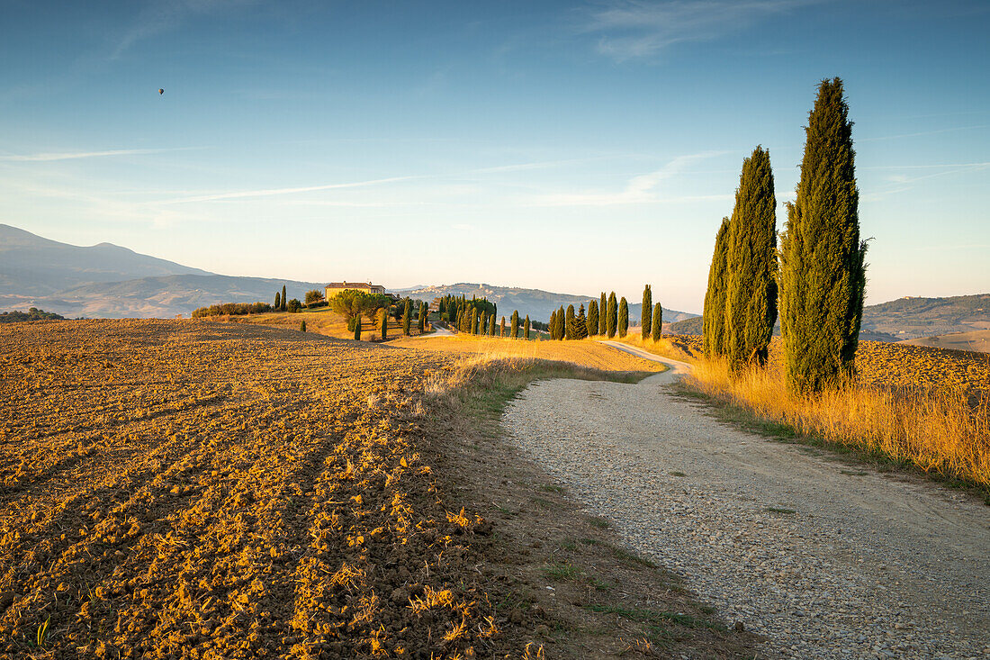  Autumn morning near Pienza, Gladiator Photo Spot, Tuscany, Italy, Europe 