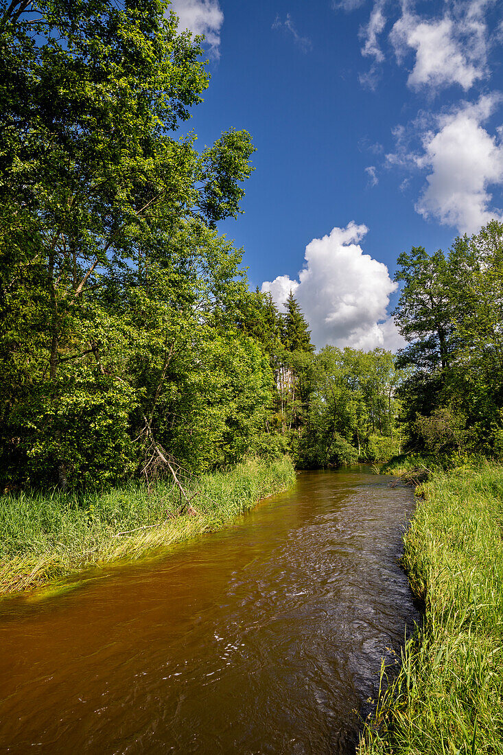  In summer on the river Ach near Huglfing, Bavaria, Germany 