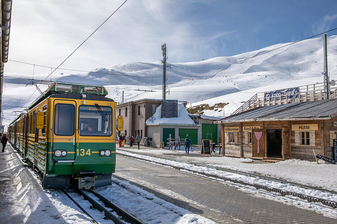  Cog railway to Grindelwald in Kleine Scheidegg station, Alps, Wengen, Grindelwald, Canton of Bern, Bern, Switzerland, Europe 