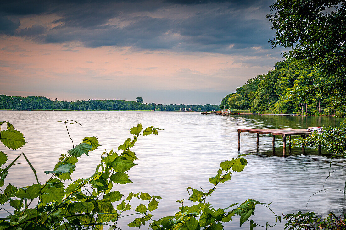  View over the Rahmersee in Zühlsdorf at sunset in summer, Wandlitz, Brandenburg, Germany 