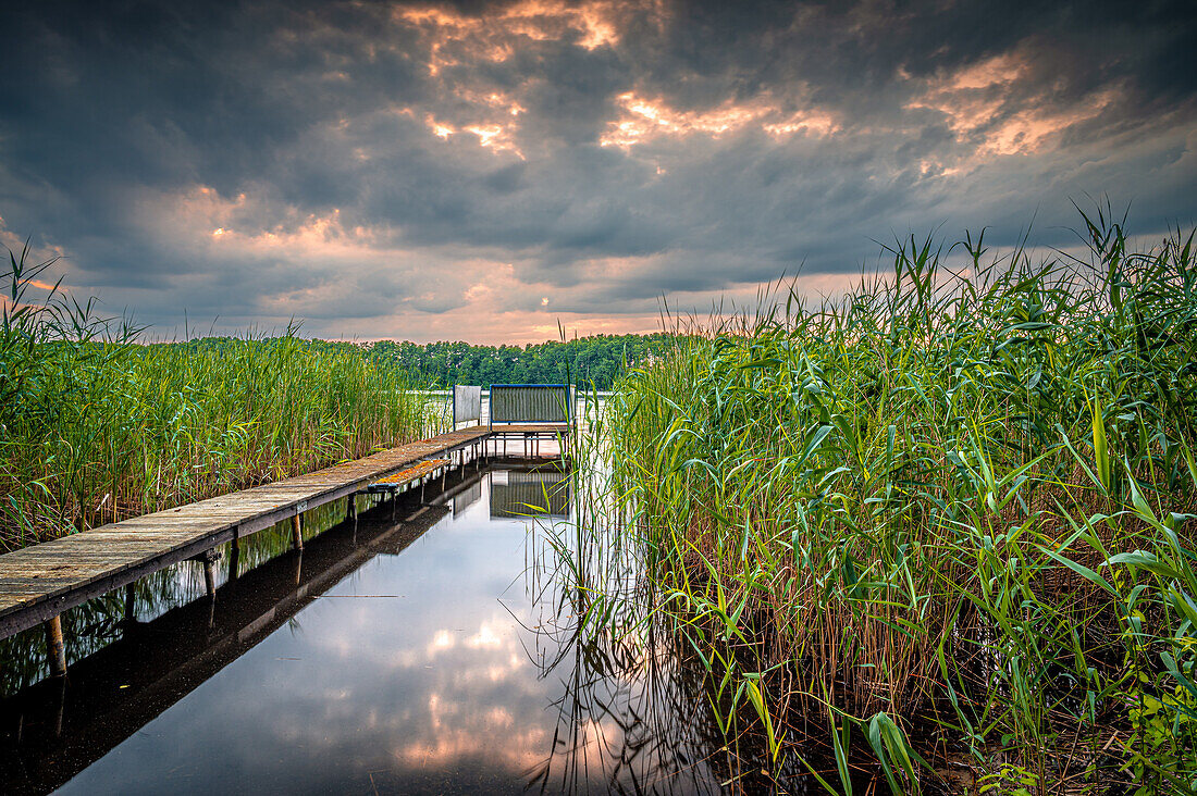  View over the Rahmersee in Zühlsdorf at sunset in summer, Wandlitz, Brandenburg, Germany 