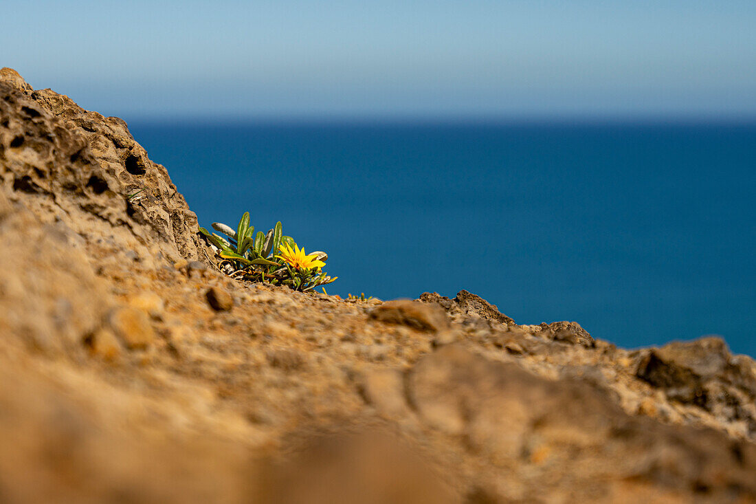 Aussichtspunkt bei Faial 'Miradouro do Guindaste', Madeira, Portugal, Europa