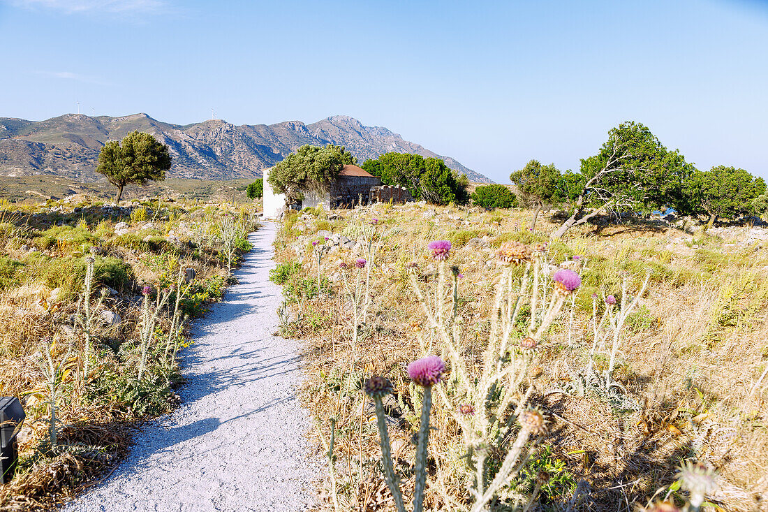  Area of the castle of Antimachia (Kastro) with remains of the old settlement of Antimachia on the island of Kos in Greece 