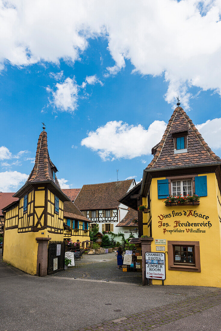  Medieval village and colorful half-timbered houses, Eguisheim, Plus beaux villages de France, Haut-Rhin, Alsace, France 