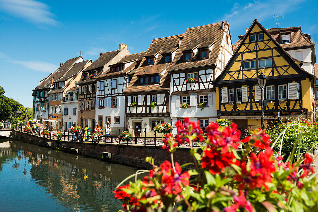  Picturesque colorful half-timbered houses, La Petite Venise, Colmar, Alsace, Bas-Rhin, France 