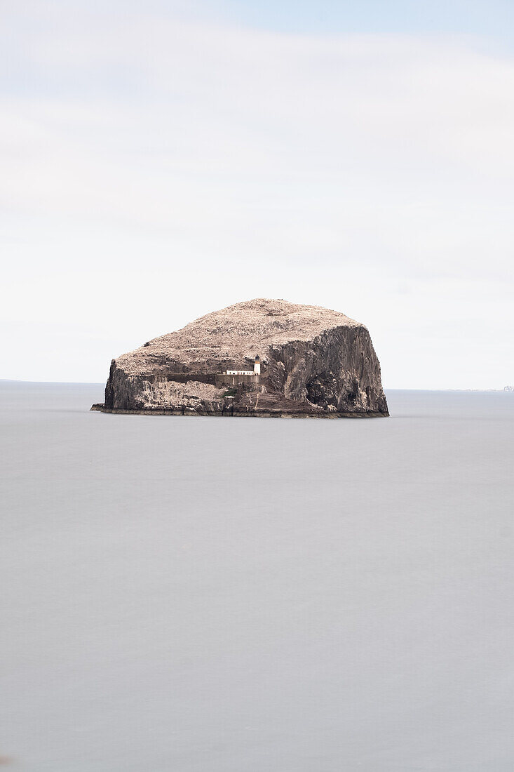  View of the bird colony on Bass Rock, lighthouse, East Lothian Coast, Scotland, United Kingdom 