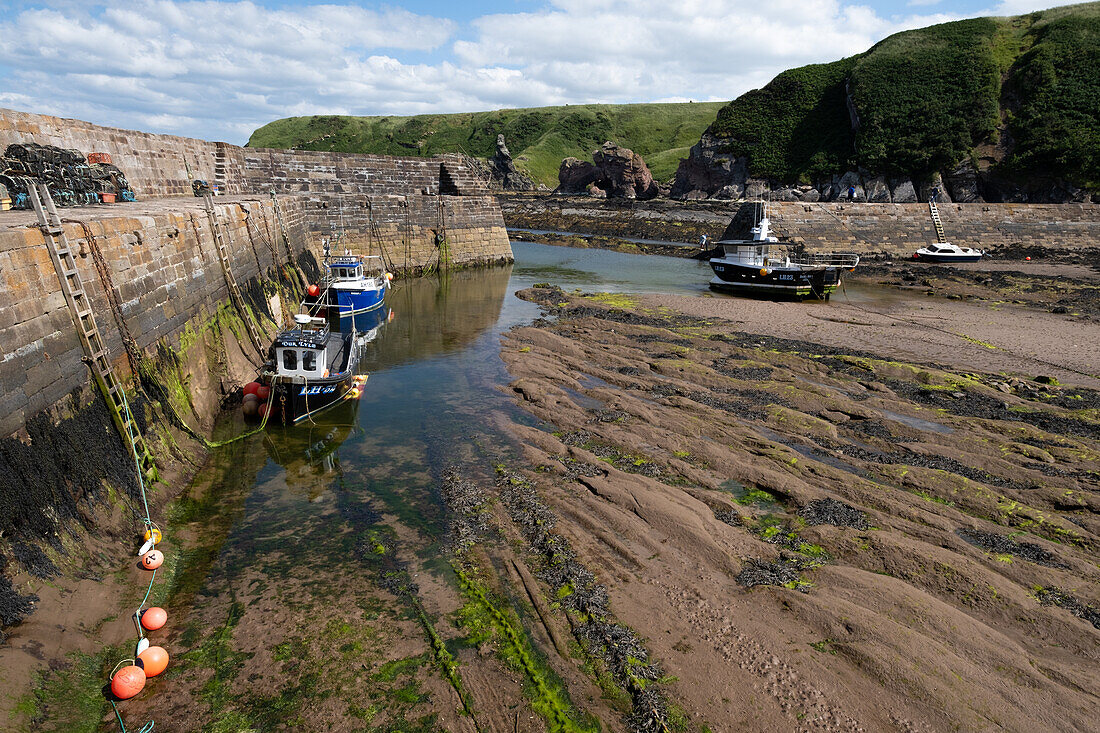 Blick auf einen alten Hafen bei Ebbe, East Lothian, Schottland, Vereinigtes Königreich