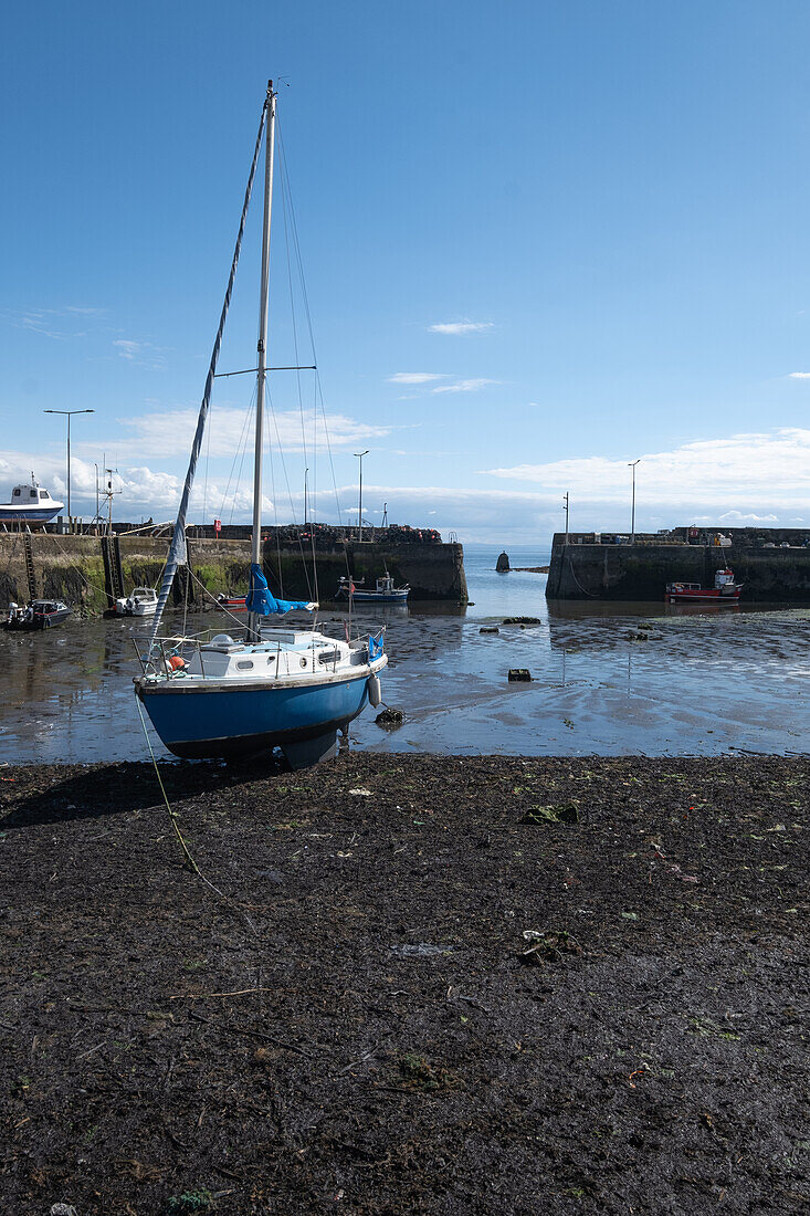  View of St. Monan&#39;s Harbour at low tide, East Lothian, Scotland, United Kingdom 