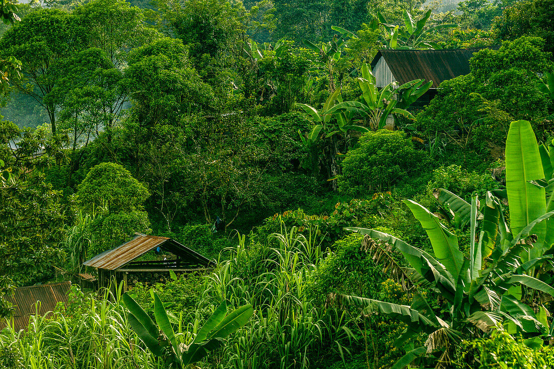 Los Cerritos, Dorf im Regenwald, Lancetillo, La Parroquia, Reyna-Gebiet, Quiche, Guatemala, Mittelamerika