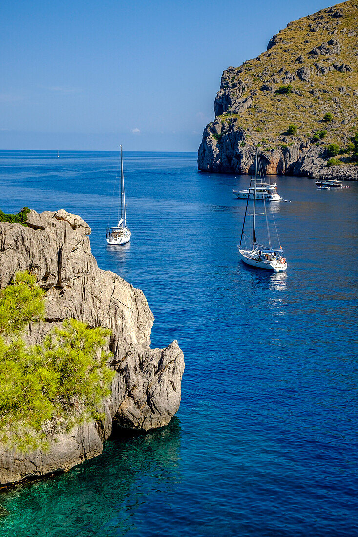 Segelboote in der Bucht Sa Calobra, Escorca, Naturgebiet Serra de Tramuntana, Mallorca, Balearen, Spanien