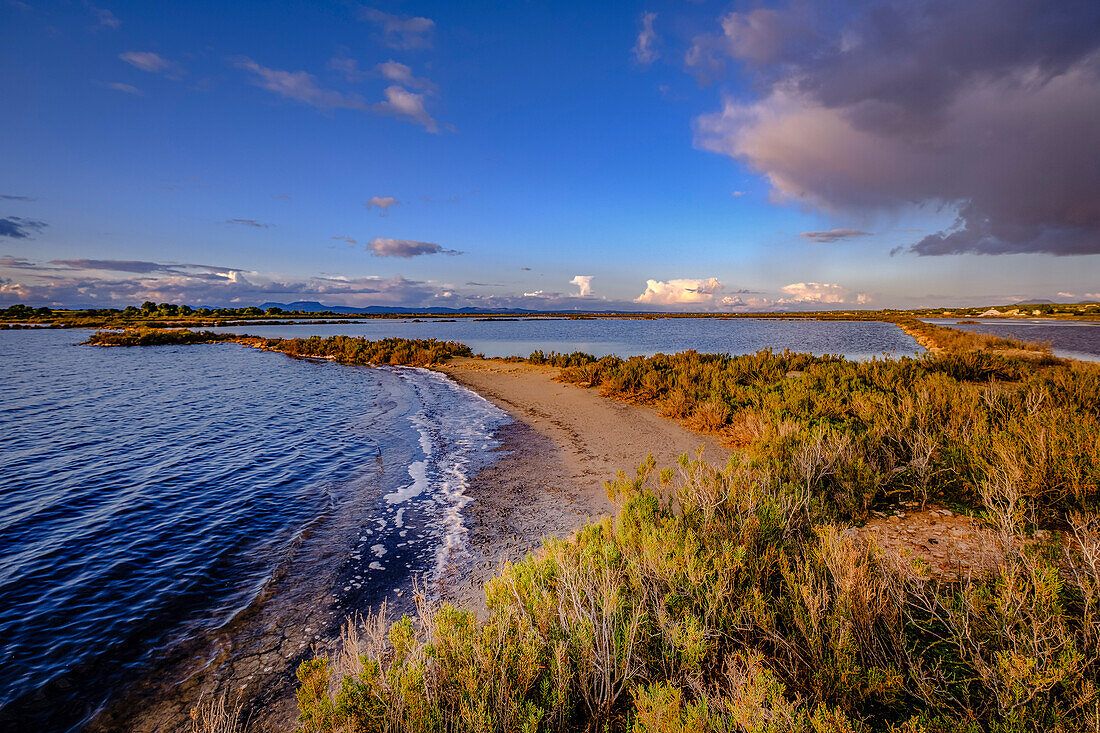 Maritim-Terrestrischer Naturpark Es Trenc-Salobrar de Campos, Mallorca, Balearen, Spanien