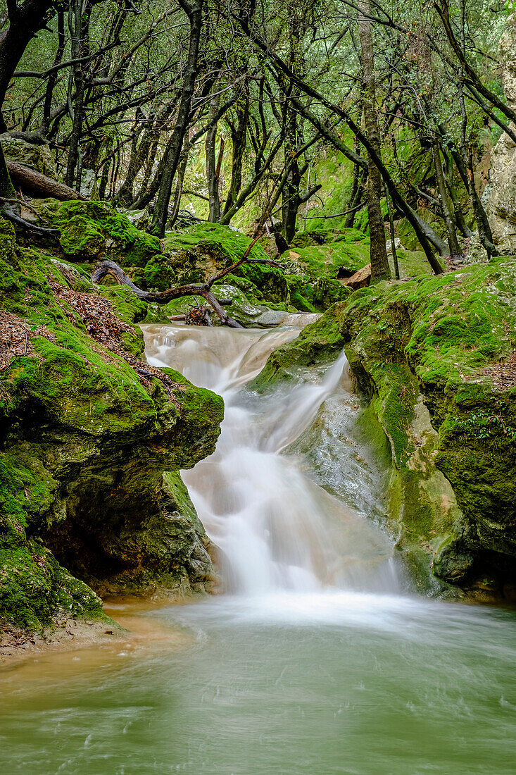  Torrent de Coanegra, Wasserfall Es Freu, Orient, Bunyola, Mallorca, Balearen, Spanien 