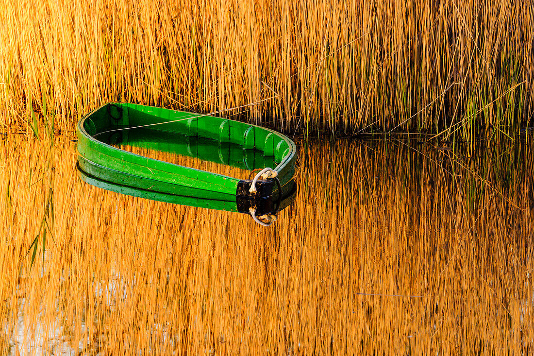 Tablas de Daimiel National Park, Ciudad Real, Castile-La Mancha, Spain, Europe