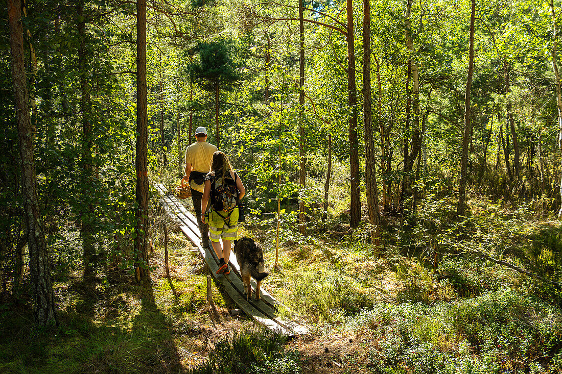 Young caucasian couple with a dog walking over a boardwalk in Listorp, a natural reserve in Southern Sweden