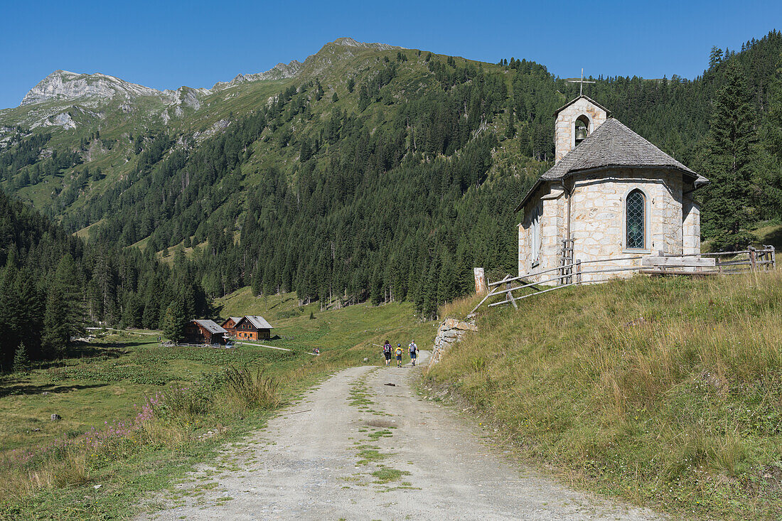  The path past the Muritzenalm to the Karwassersee at 1,895 m in Lungau, Salzburg, Austria. 