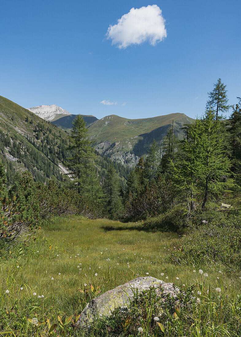 Blick auf das Weißeck am Weg zum Karwassersee im Lungau, Salzburg, Österreich.