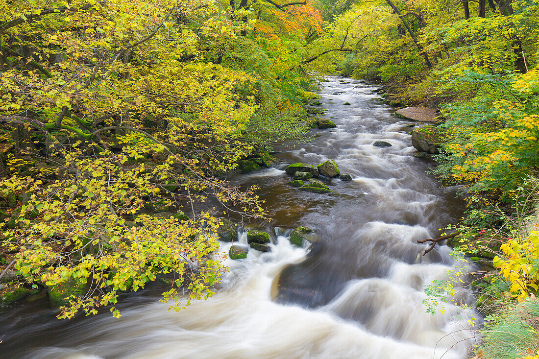  Bode, stream, Bodetal nature reserve, Saxony-Anhalt, Germany 