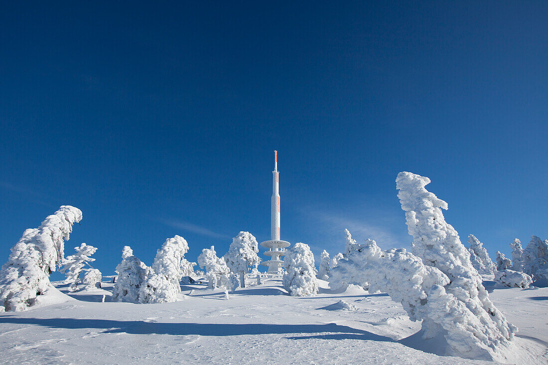  Brocken, summit, transmission tower, snow-covered spruce trees, winter, Harz National Park, Harz, Saxony-Anhalt, Germany 