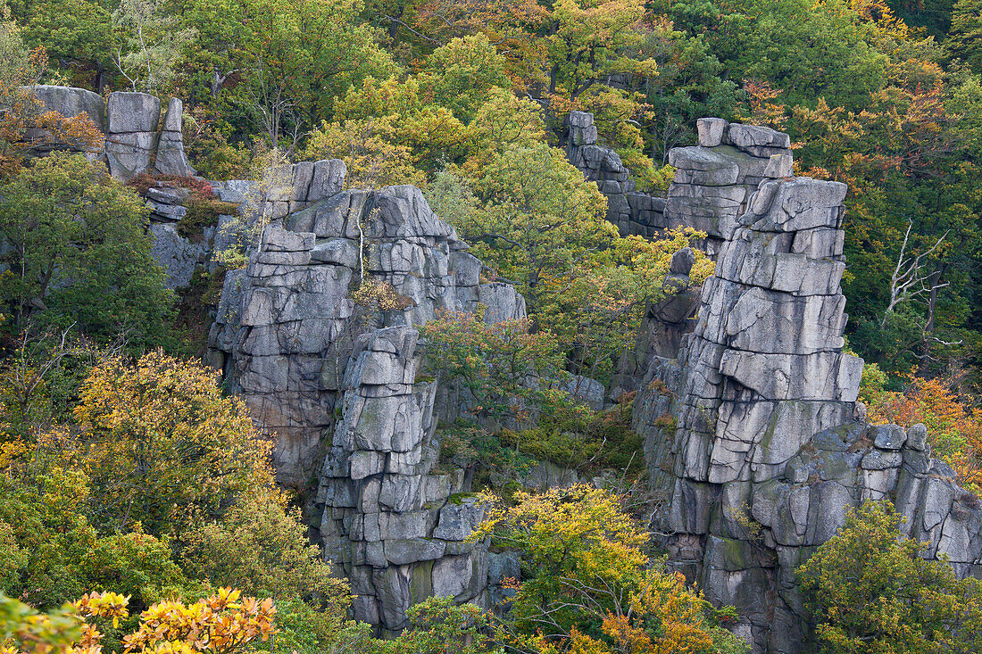  View into the Bode Valley, rock formations, Bode Valley nature reserve, Harz foothills, Saxony-Anhalt, Germany 