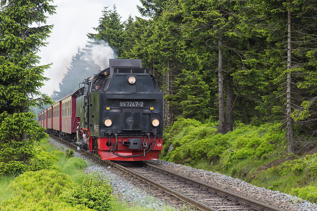 Brockenbahn, Harzer Schmalspurbahn, Brocken, Nationalpark Harz, Harz, Sachsen-Anhalt, Deutschland