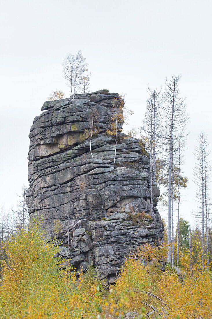 Feuersteinklippe, Sachsen-Anhalt, Deutschland