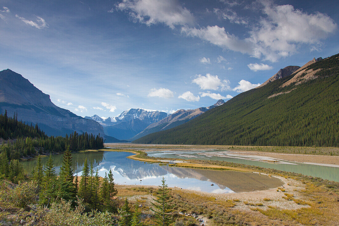  Mount Kitchener reflected in the Beauty Creek Pool near the Sunwapta River, Jasper National Park, Alberta, Canada 