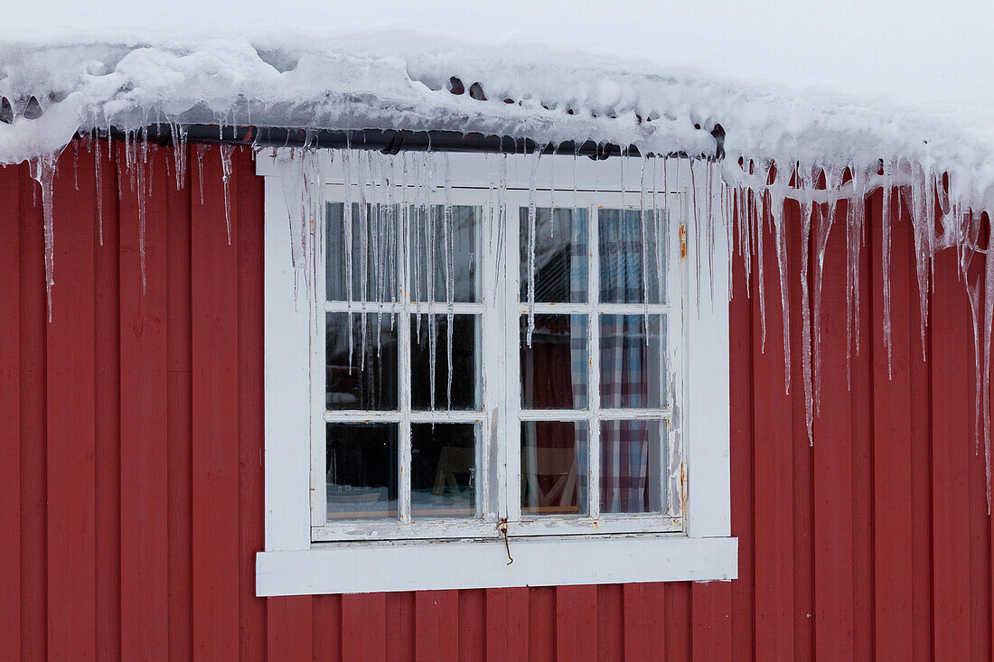  Icicles on the window, Nusfjord, winter, Lofoten, Norway 