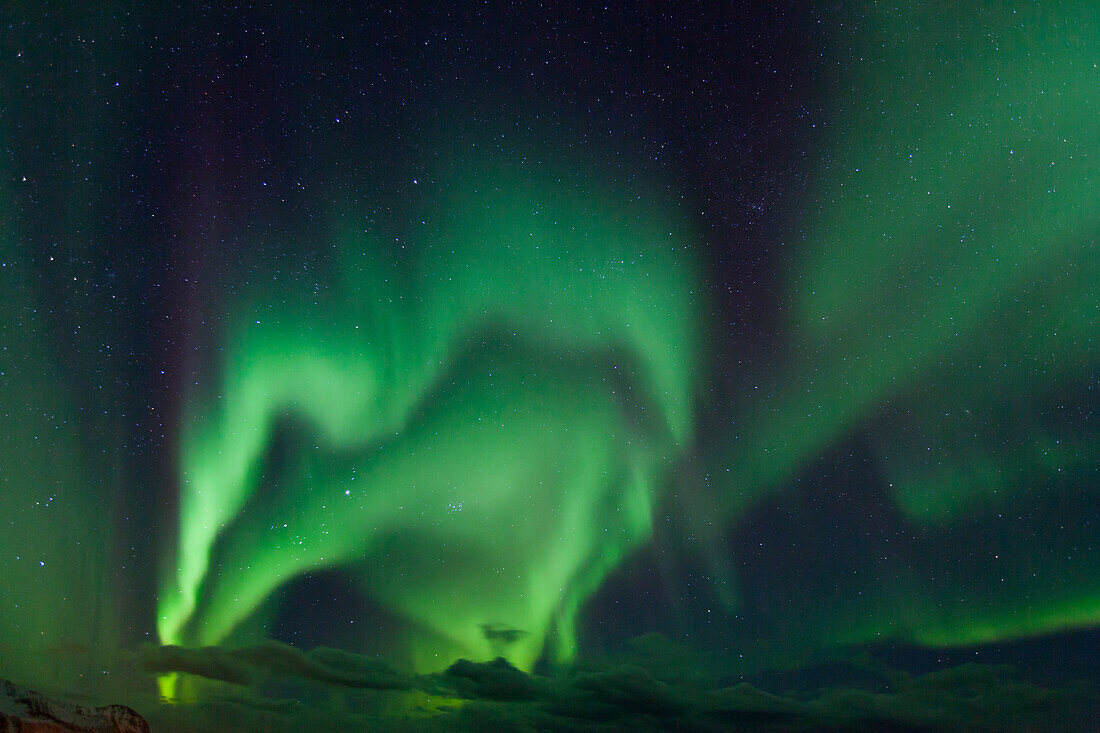  Northern lights, Aurora borealis, in the night sky, Lofoten, Norway 