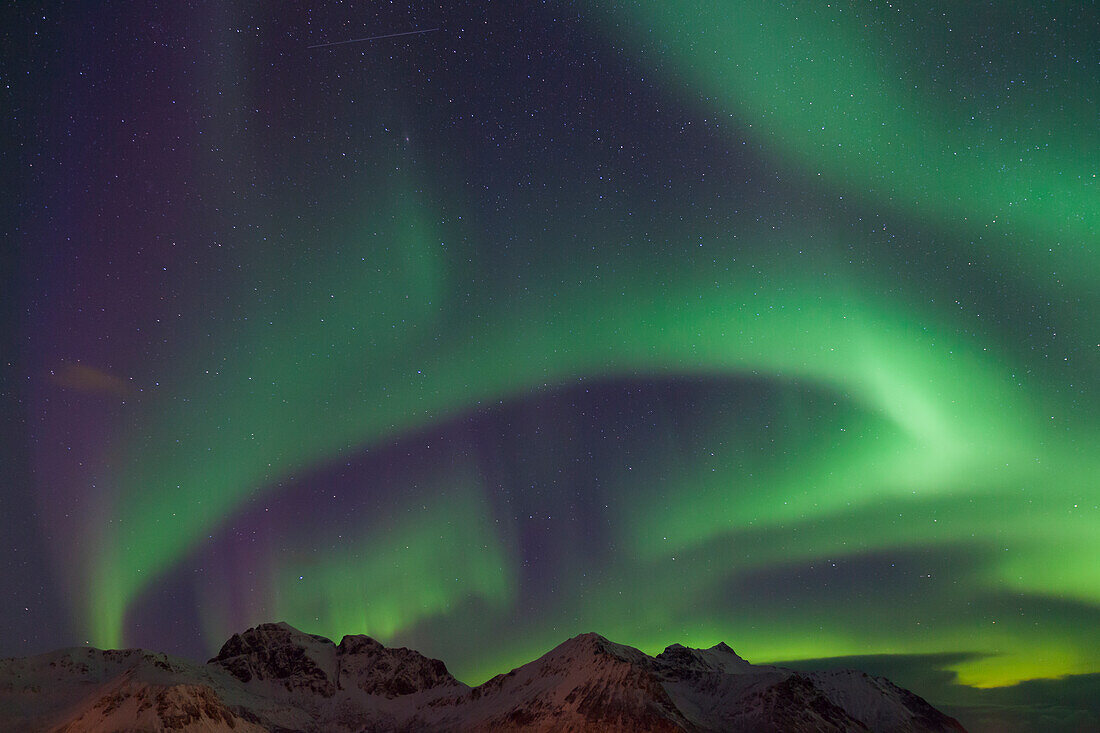 Nordlicht, Aurora borealis, am Nachthimmel, Lofoten, Norwegen