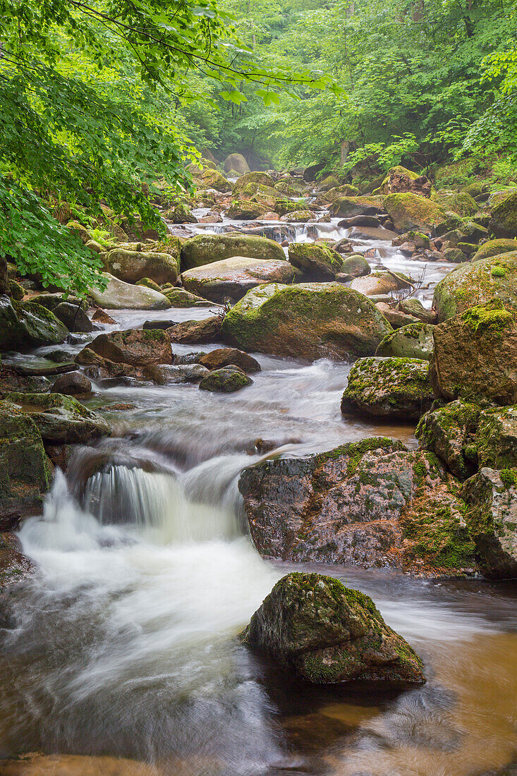  Ilse stream, Harz National Park, Saxony-Anhalt, Germany 