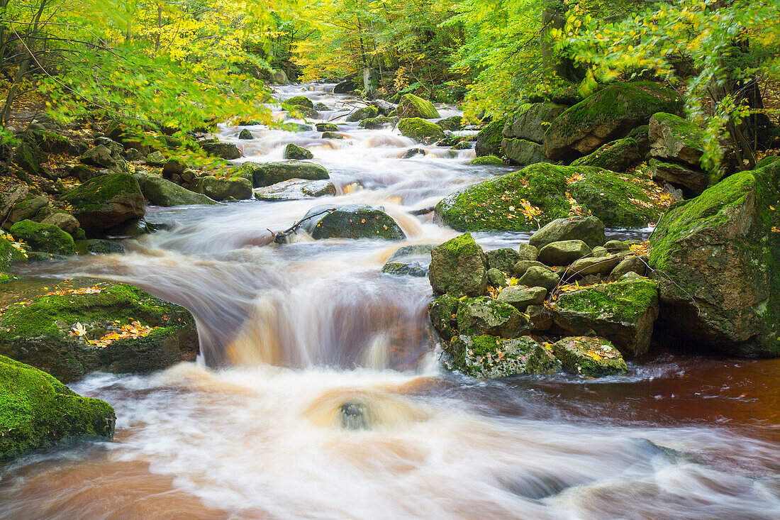  Ilse stream, Harz National Park, Saxony-Anhalt, Germany 