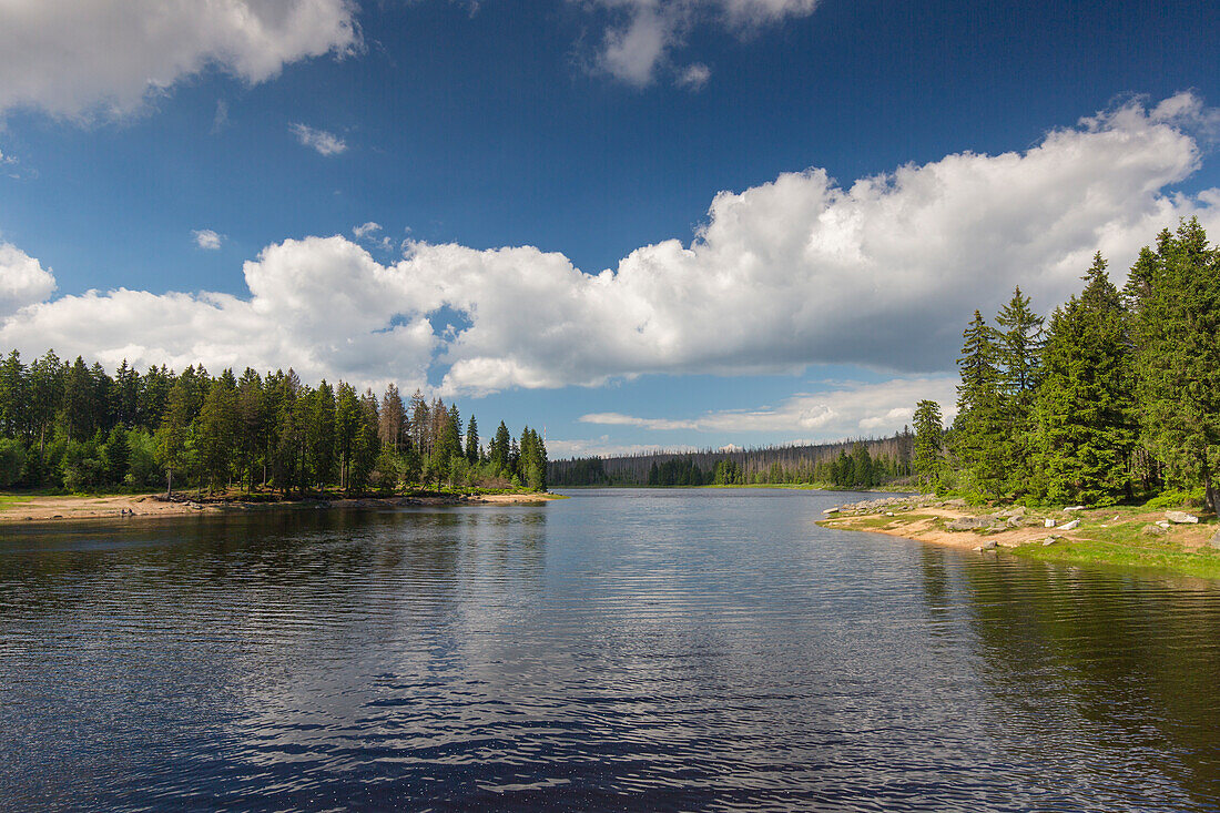  Oderteich, Harz National Park, Lower Saxony, Germany 