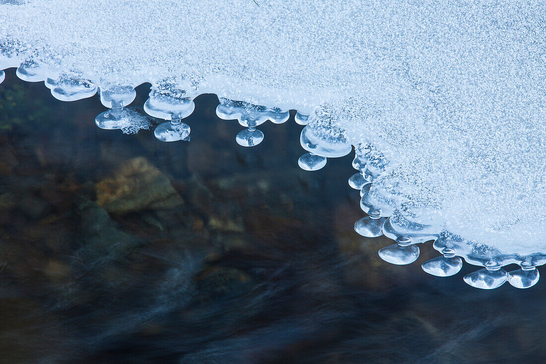  Bach Radau, ice, winter, Harz, Lower Saxony, Germany 