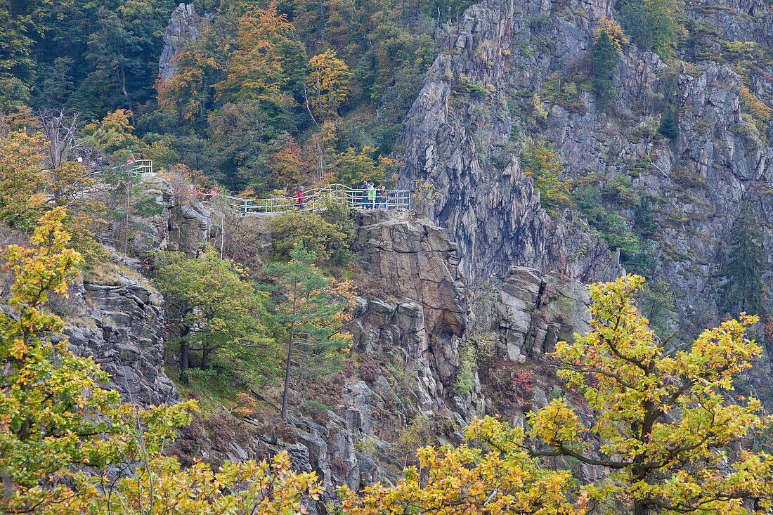  View of the Rosstrappe, Bodetal nature reserve, Harvorland, Saxony-Anhalt, Germany 