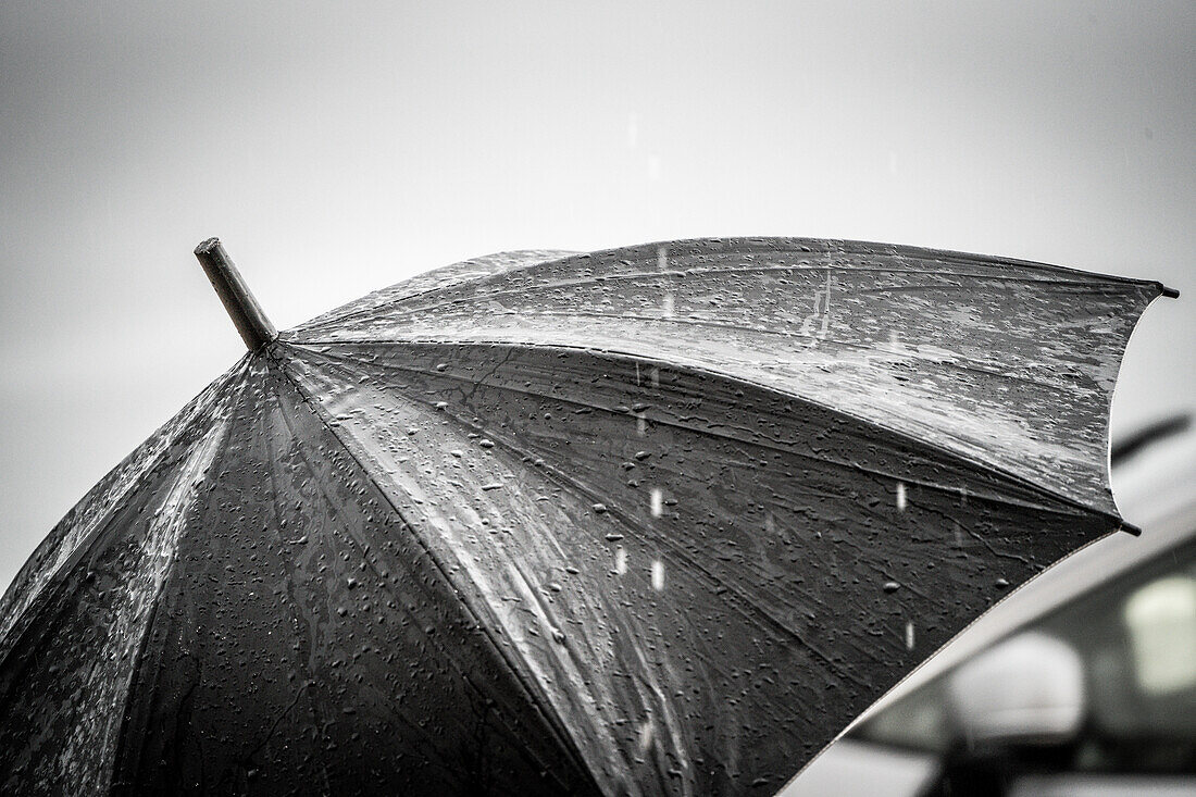 black umbrella in the rain, Mallorca, Balearic Islands, Spain