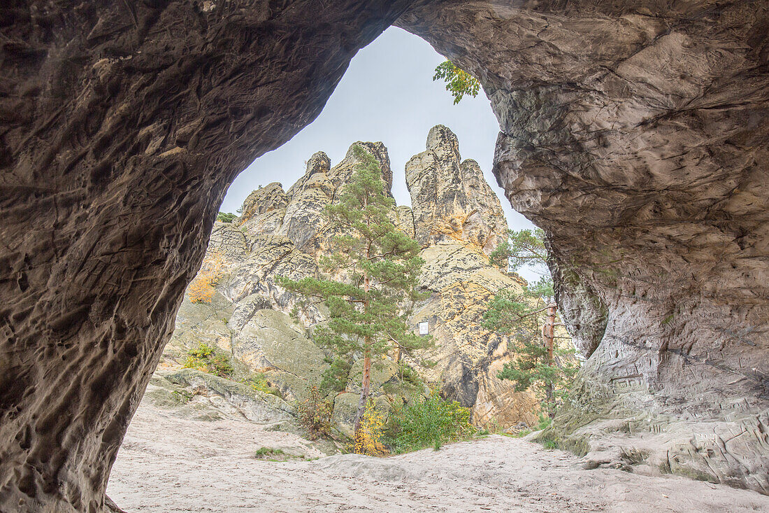  Devil&#39;s Hole with view of the Hamburg coat of arms at the Devil&#39;s Wall, rock formation, Harz foreland, Saxony-Anhalt, Germany 