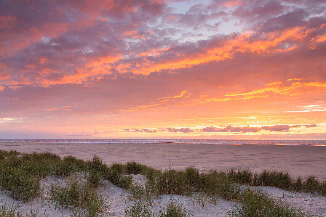 Dünenlandschaft bei Sonnenuntergang, Insel Texel, Niederlande, Europa