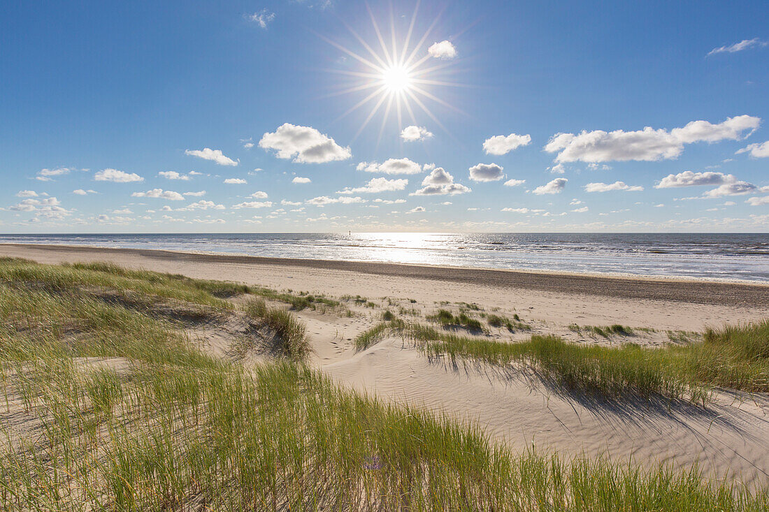  Landscape in the Dunes of Texel National Park, Texel Island, Netherlands 