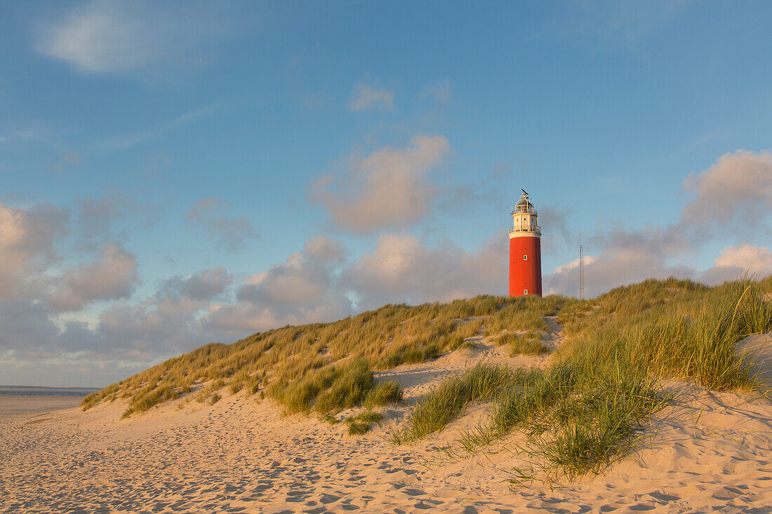  Eierland lighthouse, Texel island, North Holland, Netherlands 