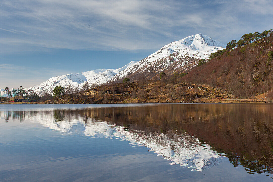  Scots pine, Pinus sylvestris, on the shore of Loch Affric, Highlands, Scotland, Great Britain 