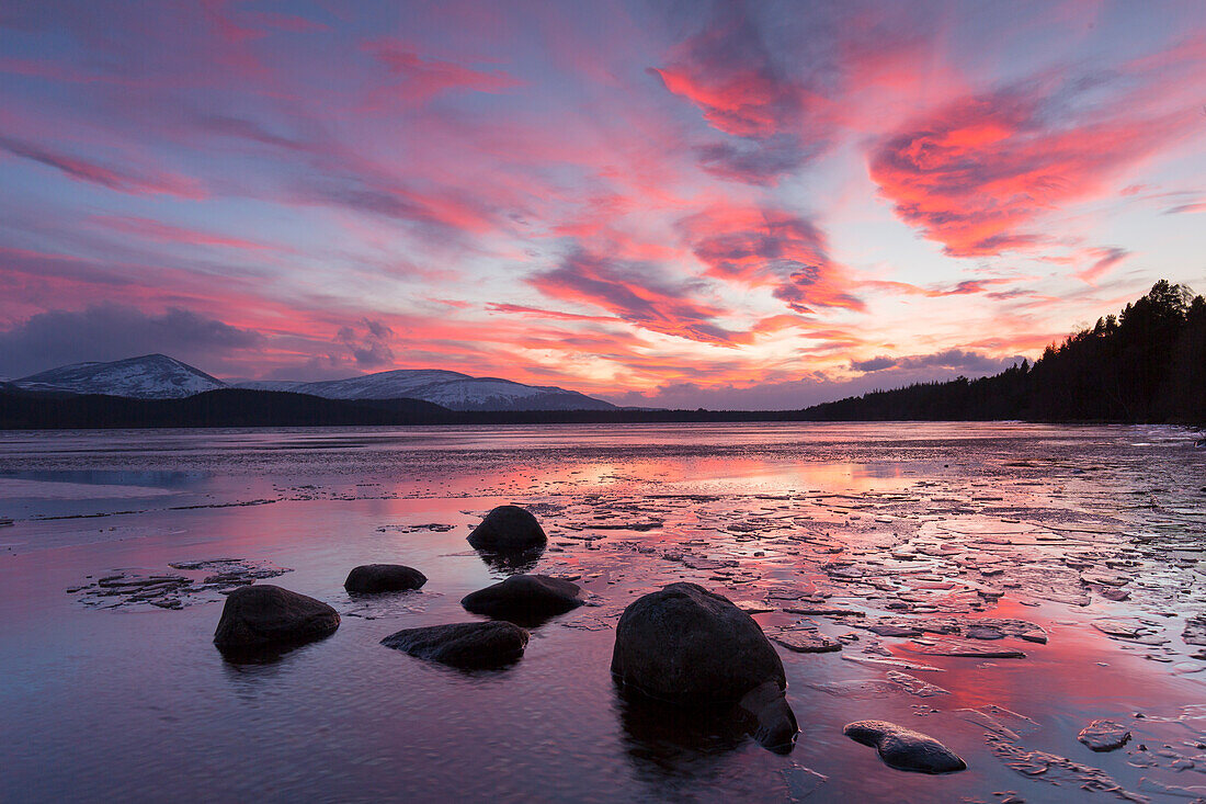  Evening mood at Loch Morlich, Cairngorms National Park, Scotland, Great Britain 