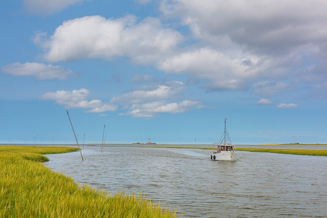 Leuchtturm Westerhever, Nationalpark Wattenmeer, Nordfriesland, Schleswig-Holstein, Deutschland