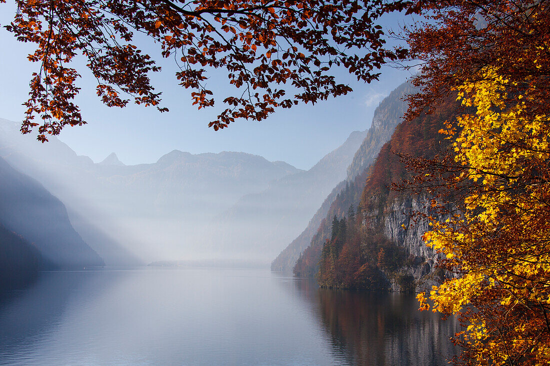  View from the Malerwinkel to the Koenigssee, autumn, Berchtesgaden National Park, Bavaria, Germany 