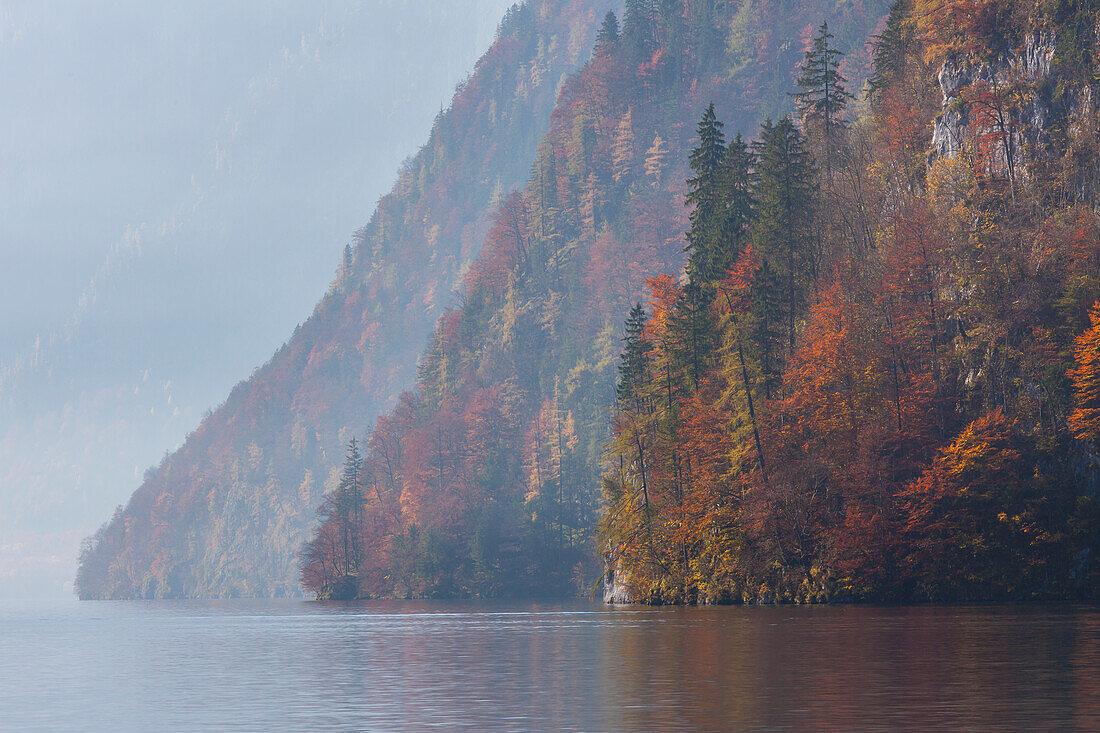  View from the Malerwinkel to the Koenigssee, autumn, Berchtesgaden National Park, Bavaria, Germany 