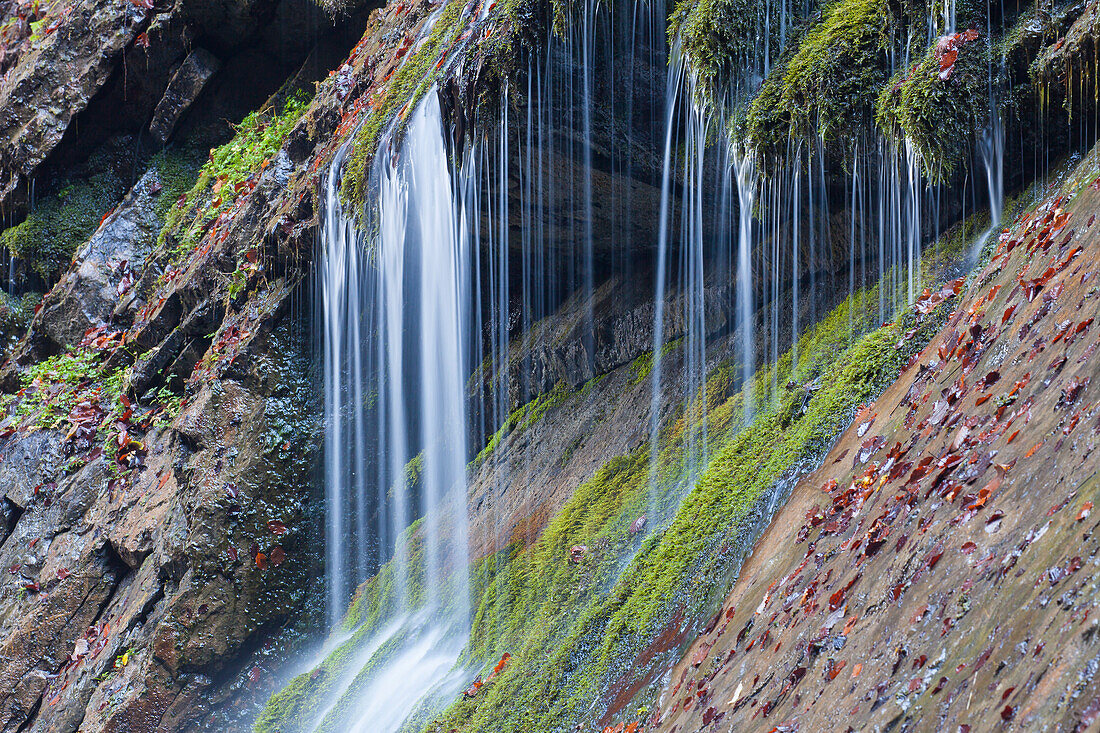  Schleierfaelle in the Wimbachklamm, autumn, Berchtesgaden National Park, Bavaria, Germany 