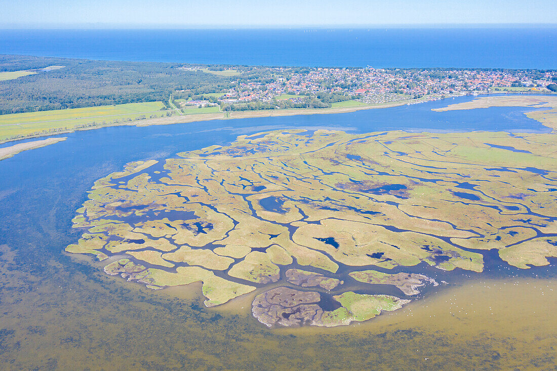  View of the island of Grosse Kirr, Western Pomerania Lagoon Area National Park, Mecklenburg-Western Pomerania, Germany 