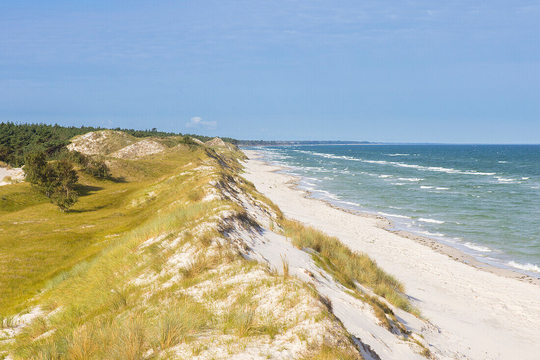  Hohe Duene, dune landscape, Darss, Western Pomerania Lagoon Area National Park, Mecklenburg-Western Pomerania, Germany 