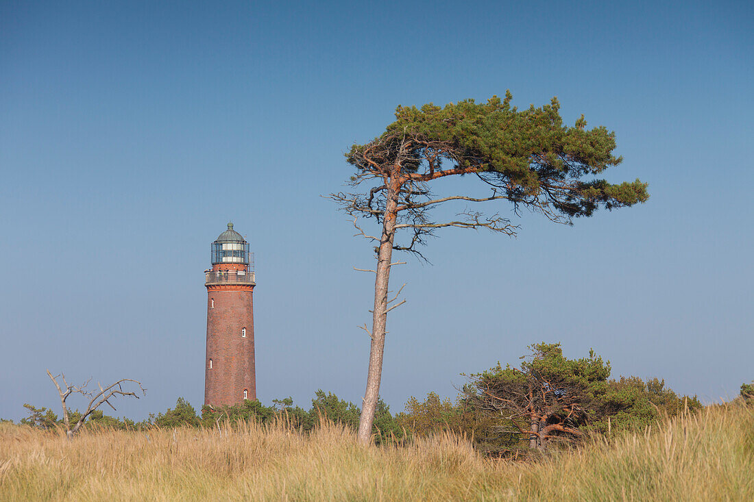  Darsser Ort lighthouse with a wind vane, Western Pomerania Lagoon Area National Park, Mecklenburg-Western Pomerania, Germany 