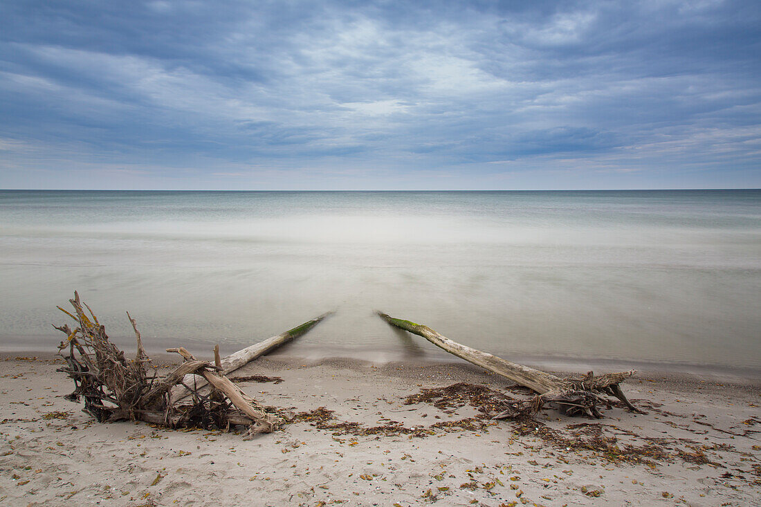  Beach landscape on the north beach near Zingst, Western Pomerania Lagoon Area National Park, Fischland-Darss-Zingst, Mecklenburg-Western Pomerania, Germany 